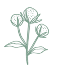 ecology